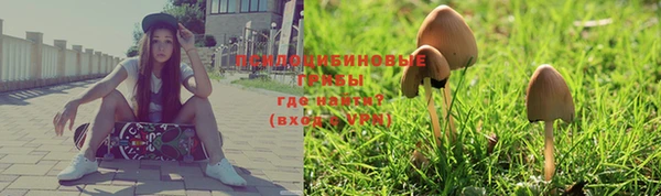 не бодяженный Липки