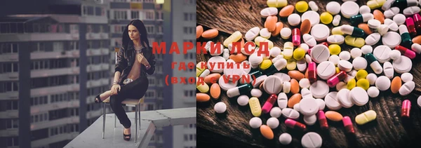 крисы Майский