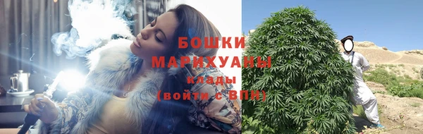 крисы Майский